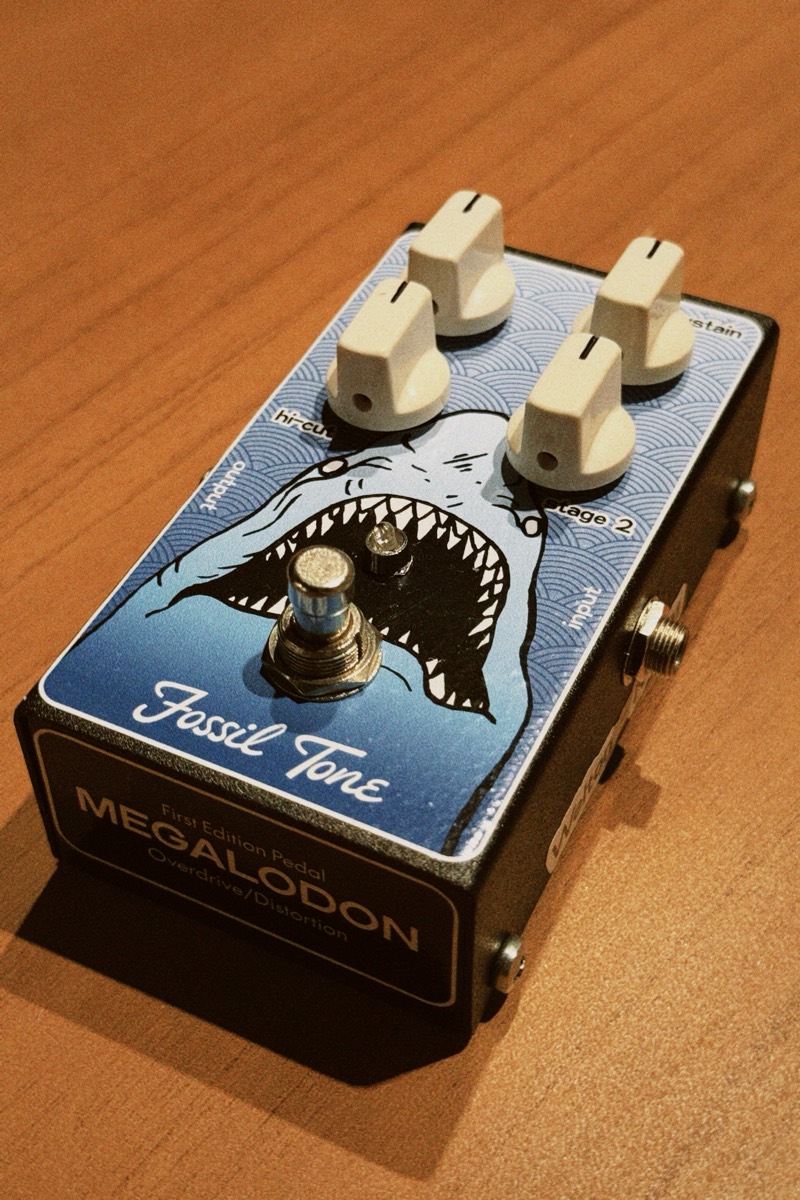 Megalodon em ângulo sobre uma mesa de madeira.
